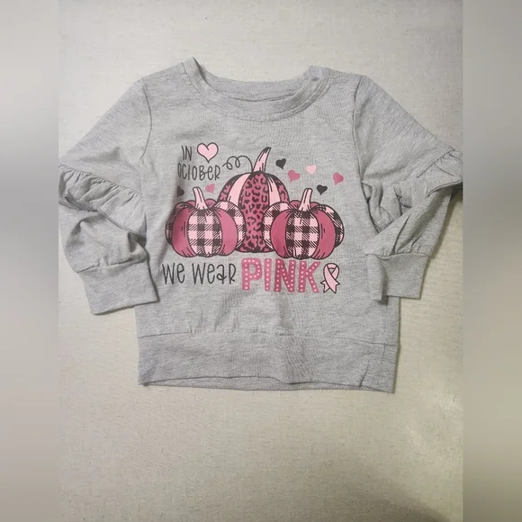Gray and Pink Pumpkin Long Sleeve Tee, 2XS, NWOT, Breast Cancer Month - Picture 2 of 9